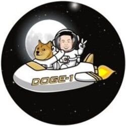 Satellite Doge-1 Mission